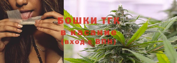 индика Новокубанск