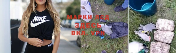 индика Новокубанск