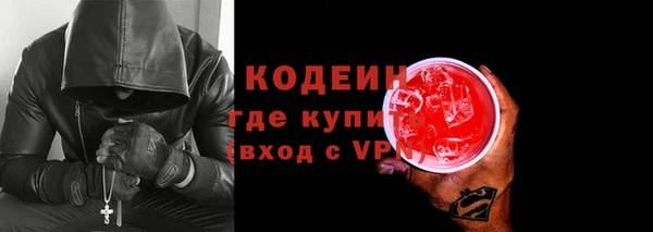 индика Новокубанск