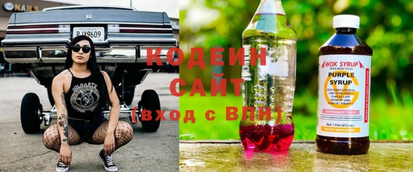 индика Новокубанск