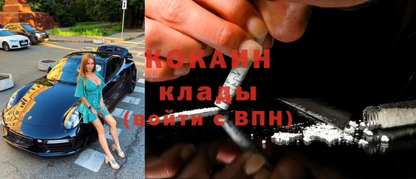 индика Новокубанск
