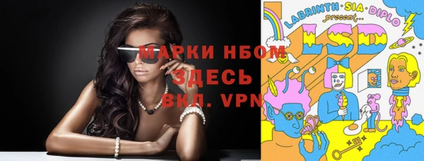 индика Новокубанск