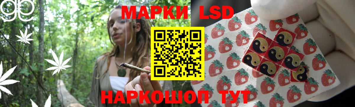 Заинск  ссылка на мегу ССЫЛКА  Вход с VPN  Лсд 25 экстази кислота  Лсд 25 экстази ecstasy 