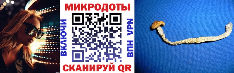 Псилоцибиновые грибы прущие грибы  Заинск 