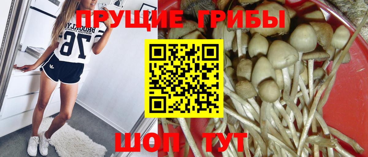 Псилоцибиновые грибы MAGIC MUSHROOMS Заинск