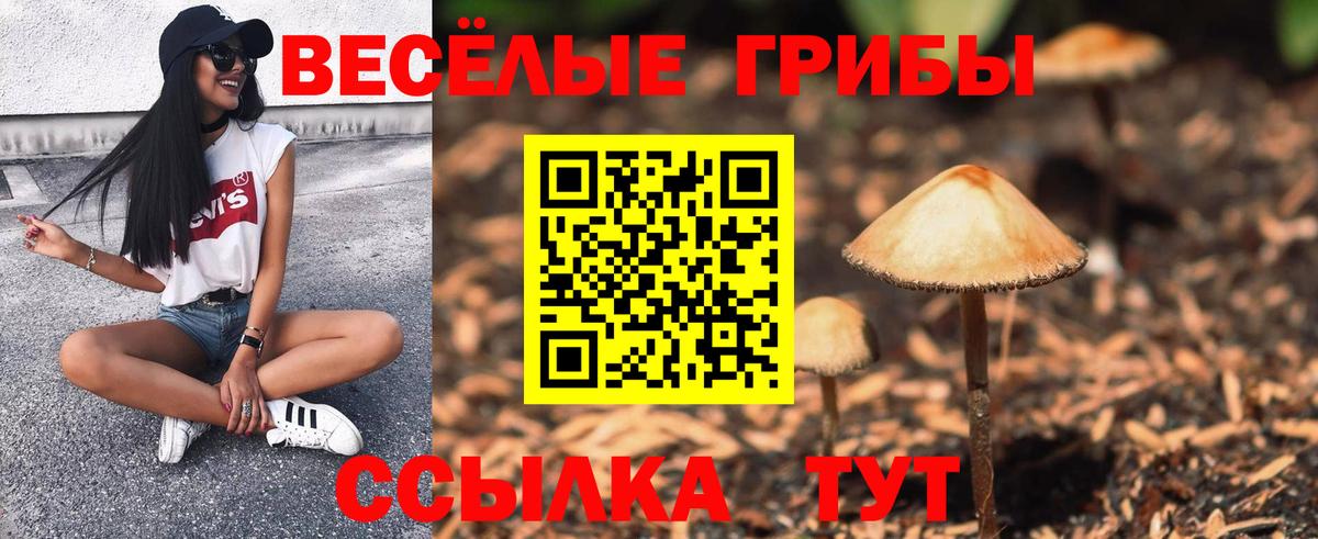 Псилоцибиновые грибы Psilocybe  Заинск 