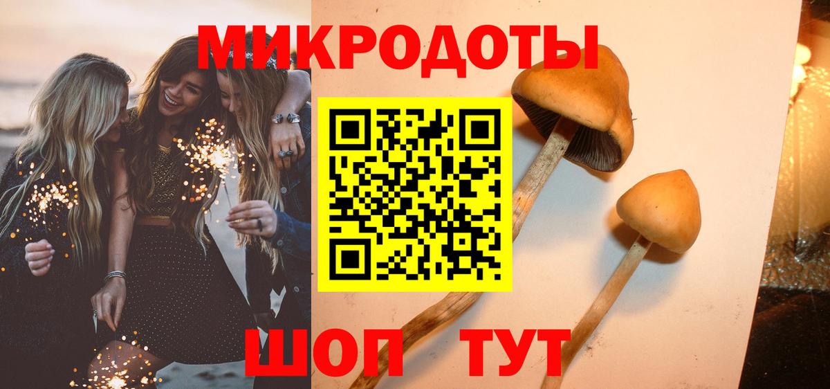 Галлюциногенные грибы мицелий Заинск