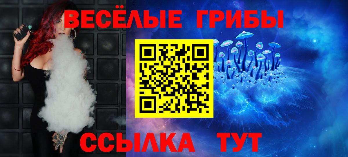Заинск  Псилоцибиновые грибы мицелий  Вход с VPN  Галлюциногенные грибы Psilocybine cubensis 
